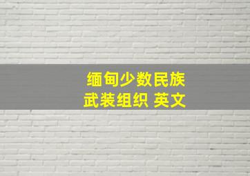 缅甸少数民族武装组织 英文